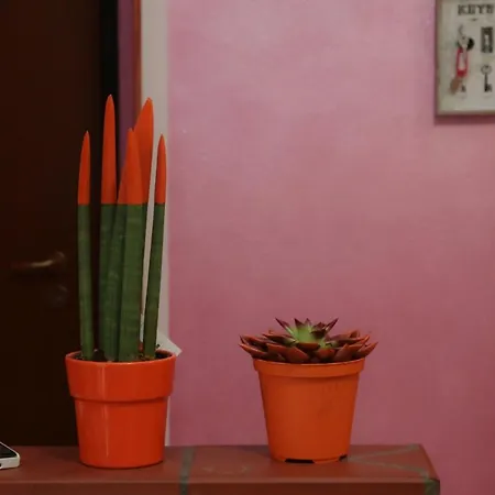 Apartmán Romero *